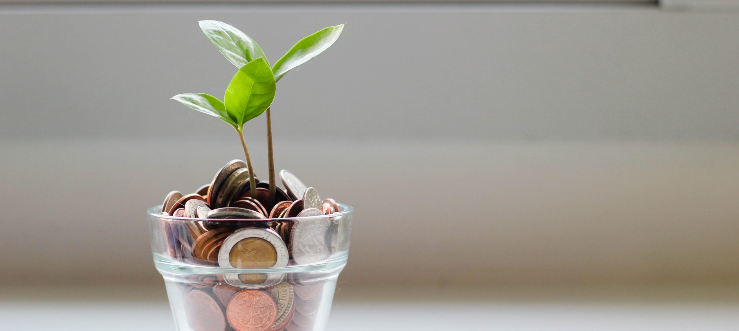 Plant growing out of a glass filled with extra change